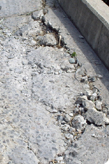 스폴링